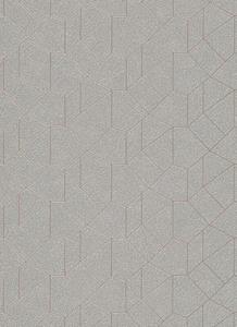 dutchwallcoverings Dutch Wallcoverings Behang Carat Deluxe Dessin Zilver/Beige 10062-02