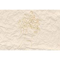 A.S. CREATIONS A.s.creations - DD120201 PaperFace2 ARTist fototapete modern 270 x 400 cm (4 Teile) | Fototapeten bei BRICOFLOR kaufen - Beige / Crème, Gelb