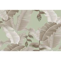A.S. CREATIONS A.s.creations - DD120209 Heliconia2 ARTist fototapete dschungel palmen natur 270 x 400 cm (4 Teile) | Jetzt Fototapeten günstig kaufen - Braun, Grau