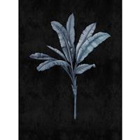 A.S. CREATIONS A.s.creations - DD122504 fiji2 Walls by Patel 3 palmen dschungel modern 270 x 200 cm (2 Teile) | Fototapeten Online-Shop - Blau, Schwarz / Anthrazit
