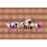 A.S. CREATIONS A.s.creations - DD122992 landofhappine2 Walls by Patel 3 vögel tiere 270 x 400 cm (4 Teile) | Fototapeten online entdecken - Bronze, Weiß