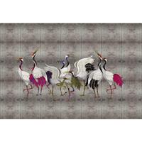 A.S. CREATIONS A.s.creations - DD122996 landofhappine3 Walls by Patel 3 vögel tiere 270 x 400 cm (4 Teile) | Fototapeten online entdecken - Grau, Silber
