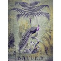 A.S. CREATIONS A.s.creations - DD119713 PeacockJungle2 ARTist fototapete vögel palmen dschungel natur tiere 270 x 200 cm (2 Teile) | Fototapeten Online-Shop - Gelb,