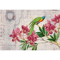 A.S. CREATIONS DD119717 BirdDiscovery1 ARTist fototapete vögel dschungel natur tiere 270 x 400 cm (4 Teile) | Fototapeten online entdecken - Grün, Pink / Rosa