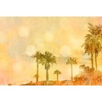 A.S. CREATIONS A.s.creations - DD119753 PalmOasis1 ARTist fototapete palmen orientalisch 270 x 400 cm (4 Teile) | Online Fototapeten bestellen - Gelb