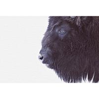 A.S. CREATIONS A.s.creations - DD119797 BlackBuffalo ARTist fototapete tiere natur 270 x 400 cm (4 Teile) | Fototapeten online entdecken - Schwarz / Anthrazit, Weiß