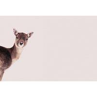 A.S. CREATIONS A.s.creations - DD119837 DeerRose ARTist fototapete tiere natur 270 x 400 cm (4 Teile) | Jetzt Fototapeten günstig kaufen - Braun, Pink / Rosa