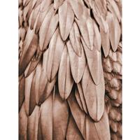 A.S. CREATIONS A.s.creations - DD119841 Feathers1 ARTist fototapete vögel tiere natur 270 x 200 cm (2 Teile) | Fototapeten online entdecken - Beige / Crème, Braun