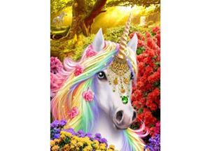 Crystal Art Unicorn Met Frame 50 X 40 Cm