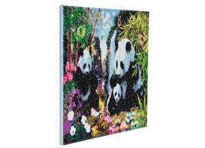 Crystal Art Panda Met Frame 40 X 50 Cm