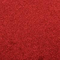 vidaXL Deurmat 40x60 cm rood