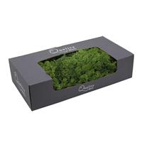 Bellatio Doosje decoratie/hobby mos groen 500 gram -