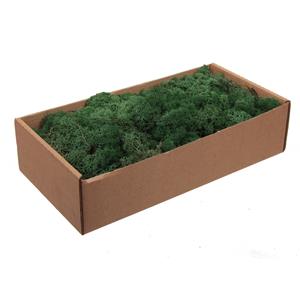 Bellatio Doosje decoratie/hobby mos groen 500 gram -