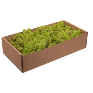 Bellatio Doosje decoratie/hobby mos licht groen 500 gram -