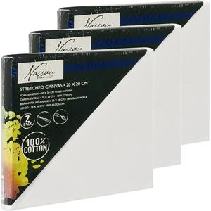 6x Canvas schildersdoeken 20 x 20 cm voor hobby verven/schilderen -