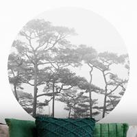 Bilderwelten Runde Tapete selbstklebend - Baumkronen im Nebel Schwarz Weiß Größe HxB: 244cm x 244cm