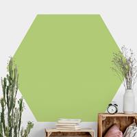 Klebefieber Hexagon Fototapete selbstklebend Colour Spring Green