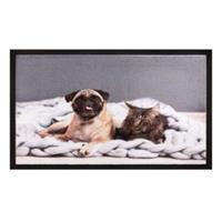 HTI-Living Fußmatte 40x60 cm Image Cat   Dog bunt Gr. 40 x 40