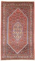 Morgenland Wollteppich Bidjar - Zanjan Medaillon 173 x 112 cm, rechteckig, 1,5 mm Höhe, Unikat mit Zertifikat