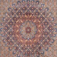 Morgenland Wollteppich Moud Felder Rosso chiaro 295 x 193 cm, rechteckig, 1 mm Höhe, Unikat mit Zertifikat