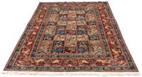 Morgenland Wollteppich Moud Felder Rosso chiaro 255 x 172 cm, rechteckig, 1 mm Höhe, Unikat mit Zertifikat