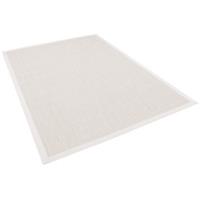 Pergamon In & Outdoor Teppich Flachgewebe Madeira Bordüre Teppiche silber Gr. 80 x 150