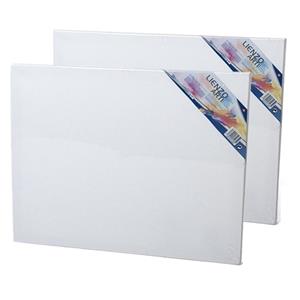 Gerim 2x stuks canvas schildersdoeken 50 x cm voor hobby verven/schilderen -
