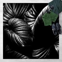 Bilderwelten Vinyl-Teppich - Schwarz WeiÃŸ Botanik Hosta - Quadrat 1:1 GrÃ¶ÃŸe HxB: 40cm x 40cm
