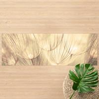 Bilderwelten Vinyl-Teppich - Pusteblumen Nahaufnahme in wohnlicher Sepia Tönung - Panorama Quer 