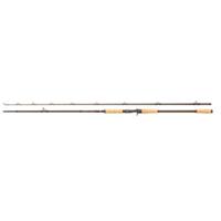 Abu Garcia Beast Pro Casting 2,18m 20-60g Hechtrute Baitcastrute