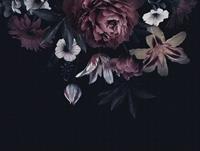 Living walls Fototapete »The Wall«, glatt, geblümt, floral, natürlich, Rose, Blumentapete, schwarz