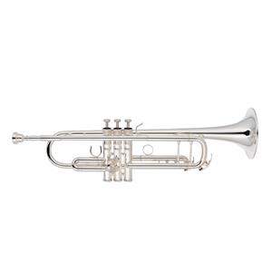 Yamaha YTR-8335GS Custom Xeno Bb Trompet Zilver
