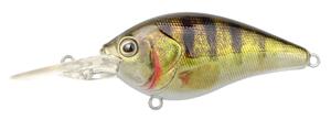 Spro Ikiru Crank Longlip 6Cm