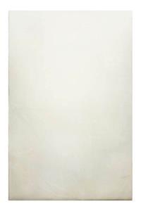 Homie LIVING Kurzflorteppich -  Lago - 100% Polyester - 19mm - pflegeleicht creme Gr. 80 x 150