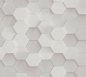A.S. Création Vliestapete "PintWalls 3D Wabenmuster Hexagon", matt