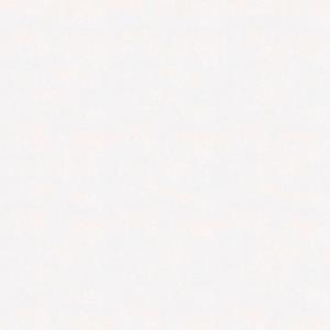 Wall Doctor Isoliertapete "Wall Doctor Renovliestapete Weiss 50mx1m (150g/m2)", uni, Wall doctor Renovliestapete Weiss 50mx1m (150g/m2)