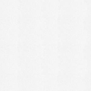 Wall Doctor Isoliertapete » Renovliestapete Weiss 25mx1m (180g/m2)«, uni, (1 St),  Renovliestapete Weiss 25mx1m (180g/m2)