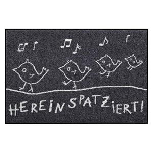 Salonloewe Fußmatte » Fußmatte waschbar Hereinspatziert 50x75 cm«, , Rechteckig, Höhe 7 mm