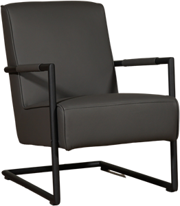ShopX Leren fauteuil lodge 13 grijs, grijs leer, grijze stoel