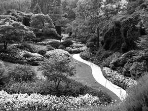 Papermoon Fototapete »Garten Schwarz & Weiß«, Vliestapete, hochwertiger Digitaldruck, inklusive Kleister