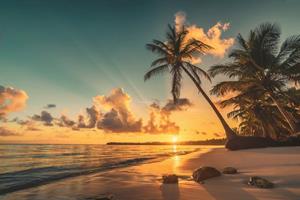 Papermoon Fototapete »PALMEN-STRAND-KARIBIK SÜDSEE MEER DÜNEN SONNE OZEAN XXL«, Vliestapete, hochwertiger Digitaldruck, inklusive Kleister