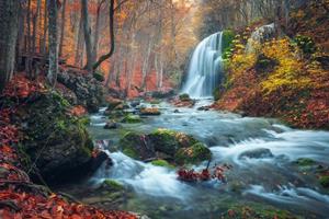 Papermoon Fototapete »Wasserfall im Wald«, Vliestapete, hochwertiger Digitaldruck, inklusive Kleister