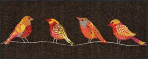 Salonloewe Fußmatte » BIRD TALK Fußmatte Wohnmatte 30 x 75 cm«, , Rechteckig, Höhe 7 mm, In- und Outdoor, waschbar bei 40° Grad in der Waschmaschine und trock