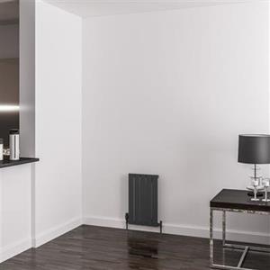 Eastbrook Addington type 10 radiator 35x60cm aluminium 393W antraciet