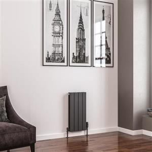 Eastbrook Addington type 20 radiator 30x60cm 401W antraciet