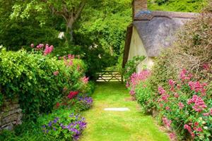 Papermoon Fototapete GARTEN-BLUMEN BÄUME PFLANZEN STEINE WALD PERGOLA BLÜTEN, Vliestapete, hochwertiger Digitaldruck, inklusive Kleister