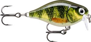 Rapala X-Light Crank Shallow Runner 03 Live Perch - PEL