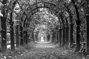 Papermoon Fototapete Garten Schwarz & Weiß, Vliestapete, hochwertiger Digitaldruck, inklusive Kleister