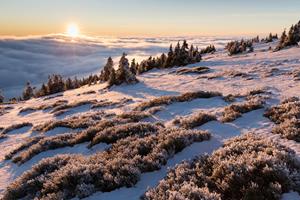 Papermoon Fototapete "Schneelandschaft"