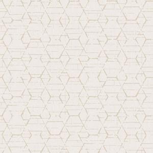 Noordwand Atmosphere Behang met grafische hexagons G78250